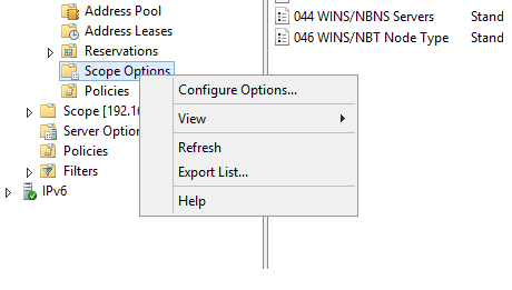 configure_dhcp_options